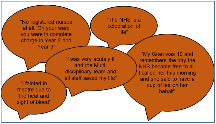 Spring themed experiences of Nursing and Midwifery in the NHS and their hopes and aspirations for the future of the National Health Service